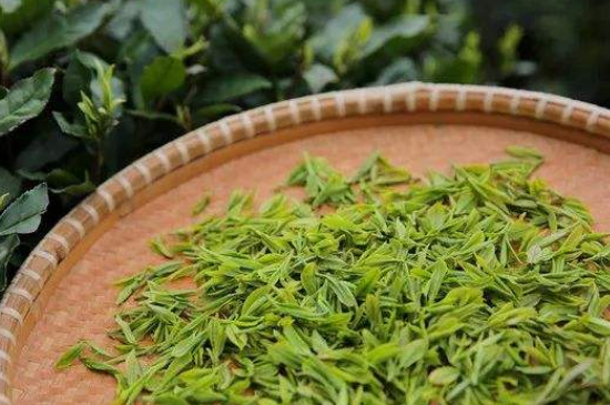 炒青綠茶與綠茶的區(qū)別，烘青和炒青哪個好喝？