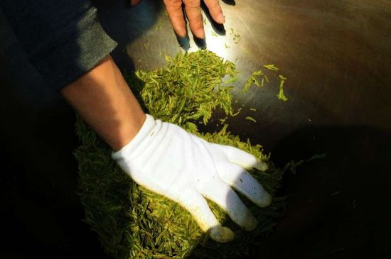 茶葉怎么炒制才香，怎樣炒茶葉更香？