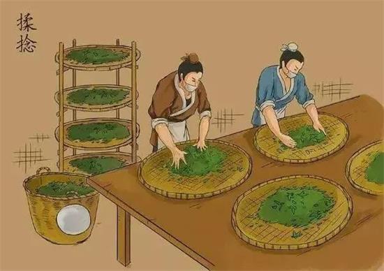 制茶八步驟，制茶工藝流程圖