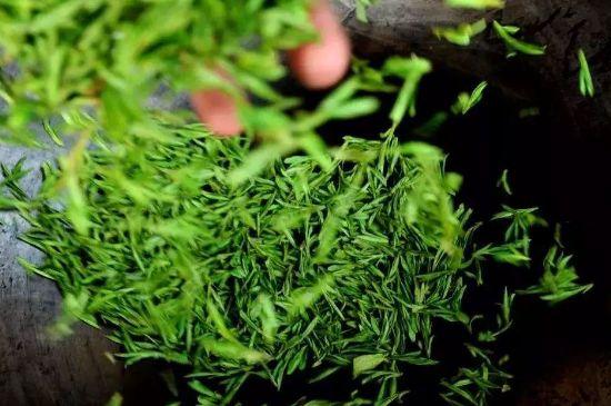 龍井茶炒茶葉怎么炒出好茶色，茶葉怎樣做出來最綠？