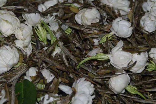 茉莉龍珠怎么做的，茉莉龍珠的制作工藝