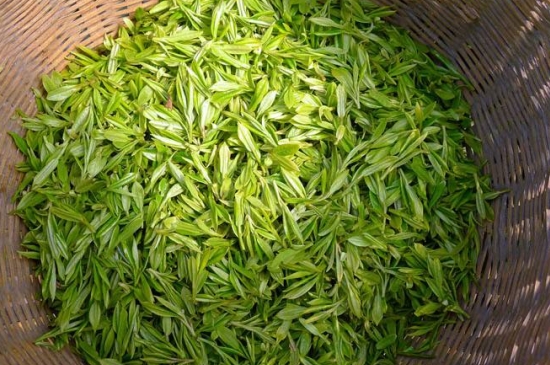 烏牛早和龍井的區(qū)別圖片，龍井43號和烏牛早茶的對比