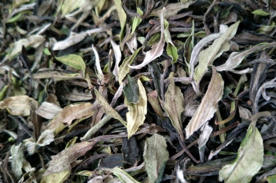 福鼎白茶貢眉和壽眉的區(qū)別，壽眉與貢眉有什么區(qū)別