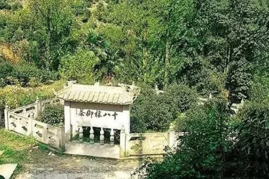 母樹大紅袍給誰喝了，為什么母樹大紅袍叫三棵六株？