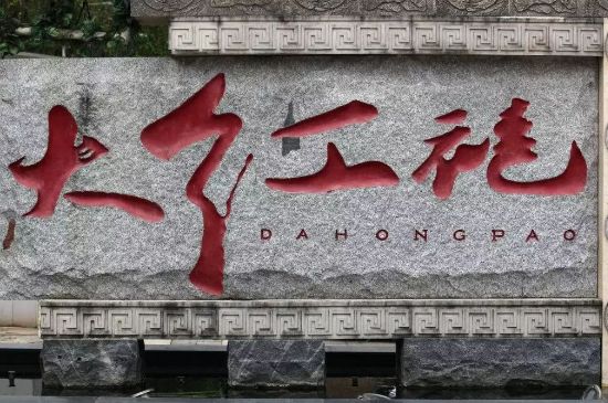 母樹大紅袍給誰喝了，為什么母樹大紅袍叫三棵六株？