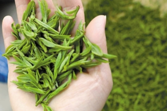 潮汕炒茶屬于什么茶，潮汕炒茶是綠茶嗎？