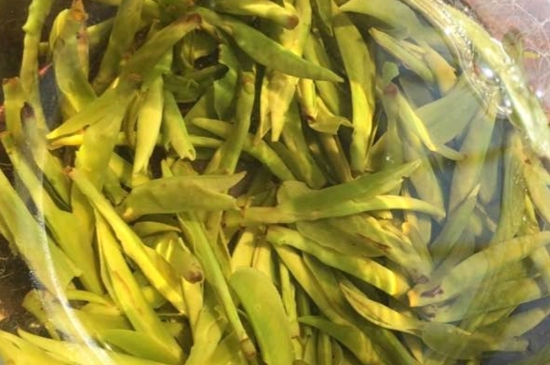 龍井是明前的好還是雨前的好，明前茶和雨前茶哪個(gè)好喝？