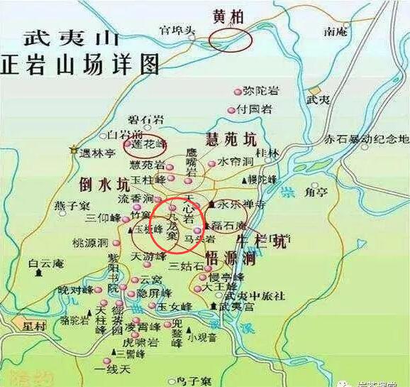 母樹大紅袍給誰喝了，為什么母樹大紅袍叫三棵六株？