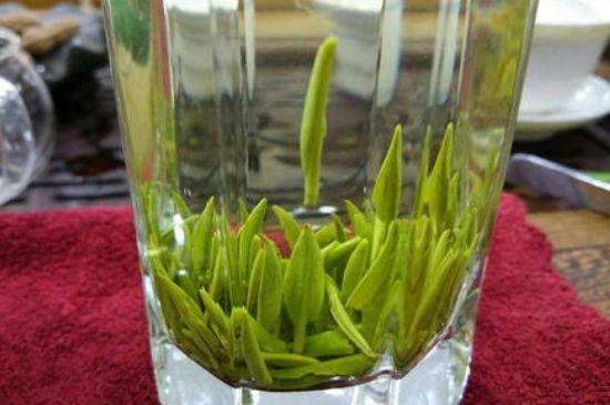 雀舌有一股青草味，雀舌為什么有青草味？