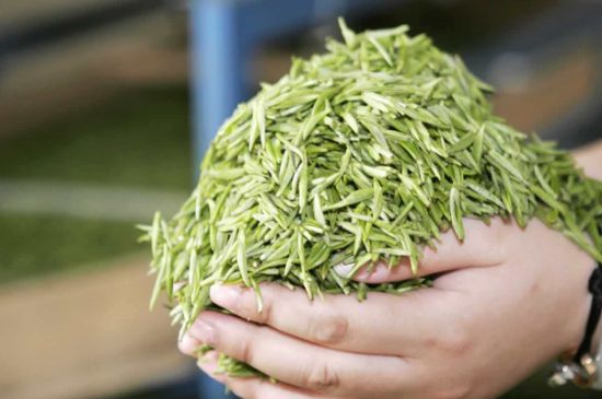 高山云霧茶屬于什么茶，高山云霧茶哪里的最好