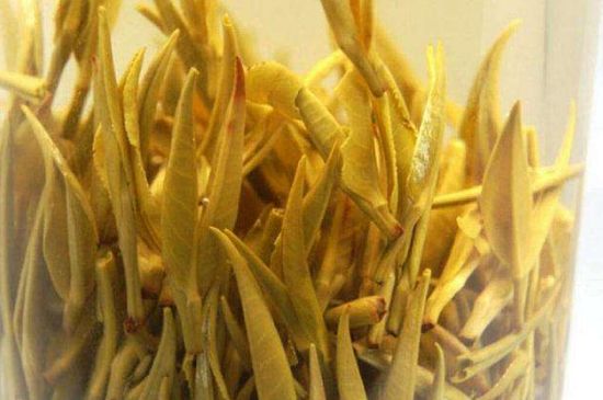 黃茶不適合哪些人喝，黃茶的功效與作用禁忌