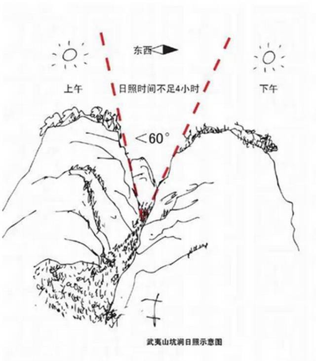 武夷山為什么盛產(chǎn)茶葉，武夷山茶為什么好喝？