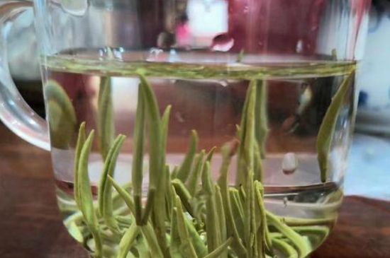 踏雪蘭妃是什么茶，踏雪蘭妃是哪里的茶葉?