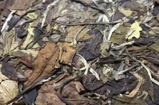 老白茶上火還是去火？夏季喝煮的老白茶會容易上火！