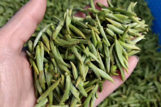 龍井茶好壞的鑒別圖片，如何區(qū)別龍井茶的好壞？