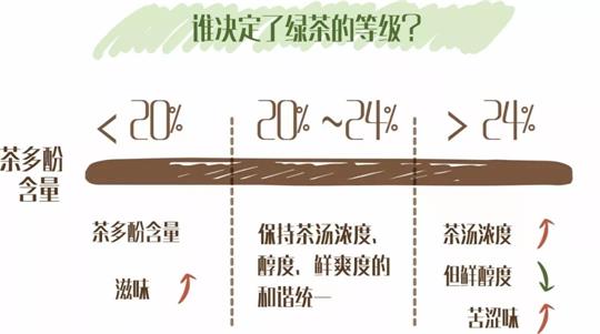 什么綠茶口味重口感濃郁，口味比較重的綠茶都有那些？