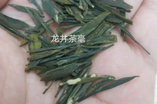 西湖龍井茶毫和發(fā)霉區(qū)別圖片，長(zhǎng)霉的龍井茶葉會(huì)是什么樣？