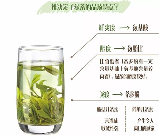 什么綠茶口味重口感濃郁，口味比較重的綠茶都有那些？