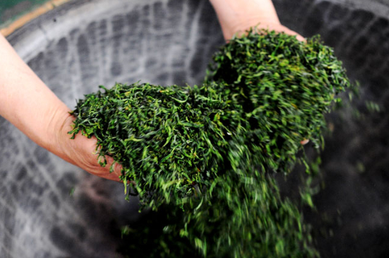 潮汕炒茶屬于什么茶，潮汕炒茶是綠茶嗎？