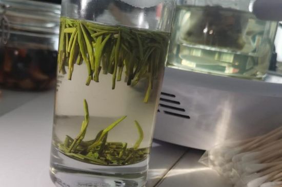 金壇雀舌算不算好茶，金壇雀舌屬于什么檔次茶葉？