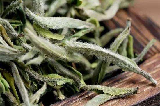 荒野銀針有什么特點，荒野銀針的味道口感咋樣？