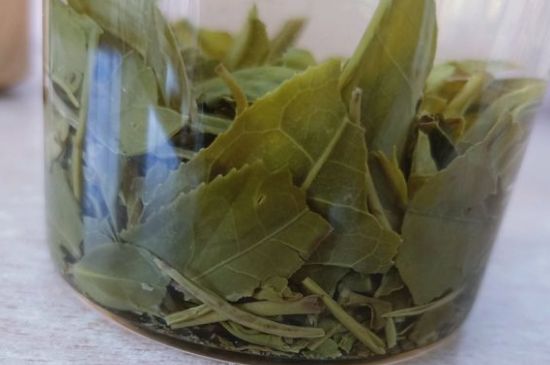 綠茶陳茶和新茶區(qū)別，綠茶怎樣區(qū)分新茶和陳茶