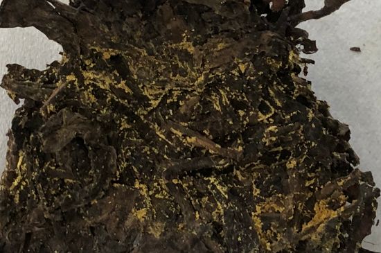 怎么知道涇渭茯茶是否變質(zhì)，茯磚茶金花和發(fā)霉的區(qū)別