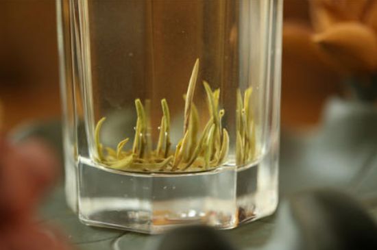 踏雪蘭妃是什么茶，踏雪蘭妃是哪里的茶葉?
