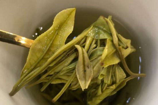 新舊白茶怎么區(qū)分，怎么分辨白茶是新還是舊