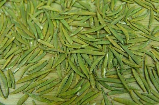 竹葉青和毛尖的區(qū)別，毛尖和竹葉青怎么分辨？