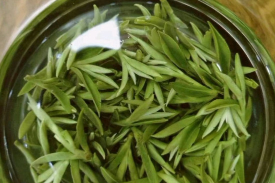 什么綠茶茶葉唇齒留香，哪個(gè)品種綠茶香氣好？