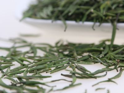 霍山黃芽算是好茶嗎，霍山黃芽屬于什么茶？