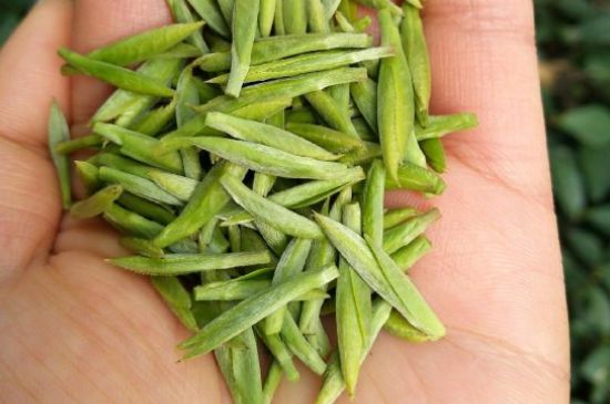 什么綠茶味道濃香，那個綠茶比較濃香？