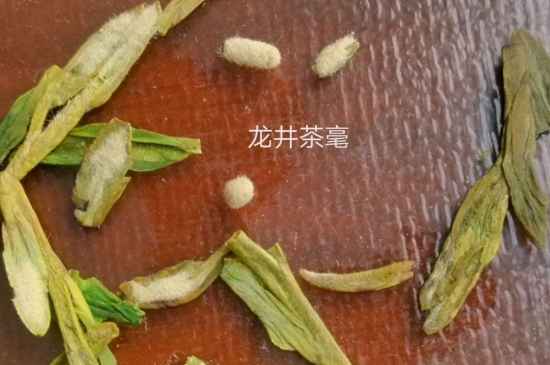 西湖龍井茶毫和發(fā)霉區(qū)別圖片，長(zhǎng)霉的龍井茶葉會(huì)是什么樣？