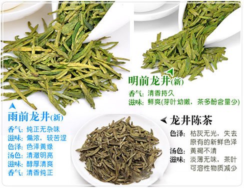 西湖龍井新茶和陳茶的區(qū)別，怎么區(qū)分龍井新茶和舊茶？