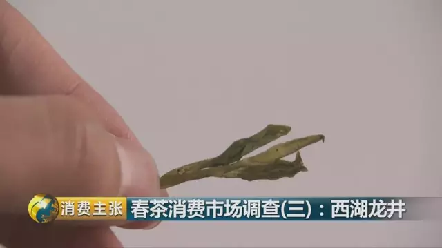 龍井群體種和43號的區(qū)別圖片，龍井43和群體種哪個好喝？