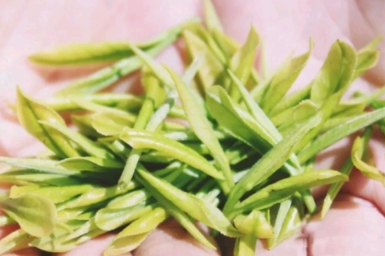 龍井是明前的好還是雨前的好，明前茶和雨前茶哪個(gè)好喝？