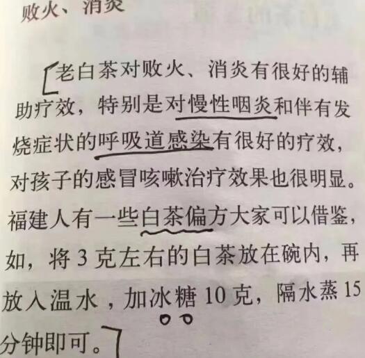 老白茶上火還是去火？夏季喝煮的老白茶會容易上火！