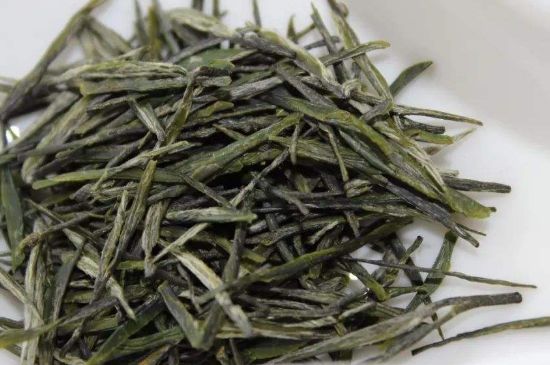 高山云霧茶屬于什么茶，高山云霧茶哪里的最好