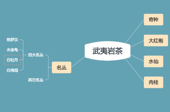 武夷巖茶品種大全，巖茶有幾種？