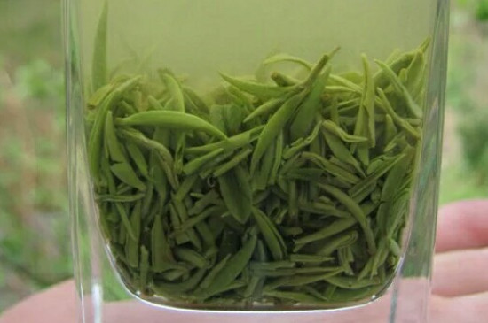 什么綠茶茶葉唇齒留香，哪個(gè)品種綠茶香氣好？