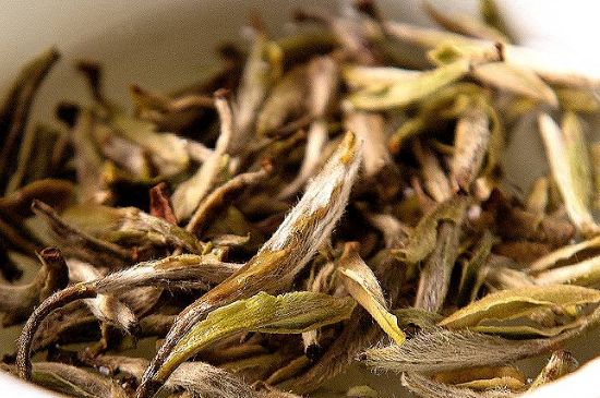 荒野銀針市場(chǎng)價(jià)多少，真正的荒野白毫銀針多少錢？