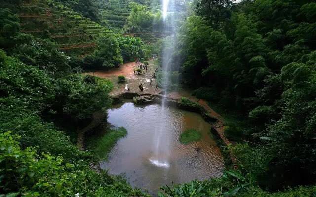 武夷山為什么盛產(chǎn)茶葉，武夷山茶為什么好喝？