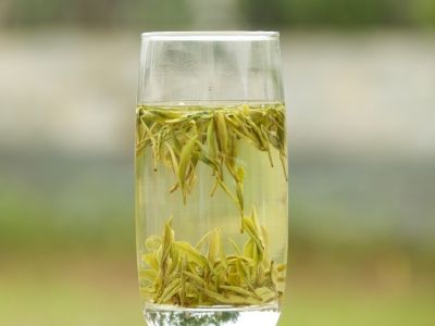 霍山黃芽算是好茶嗎，霍山黃芽屬于什么茶？