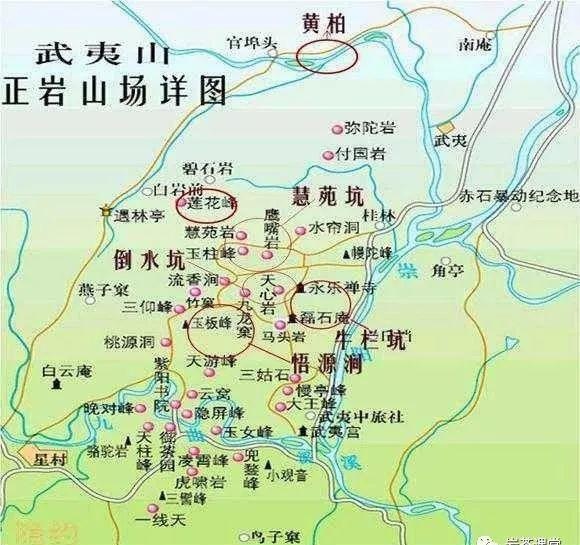 300塊錢的金駿眉能喝嗎，兩三百多金駿眉和一千多區(qū)別