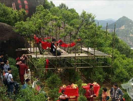 宋種一號價值為什么高，鳳凰單樅宋種1號價格與產(chǎn)量多少？