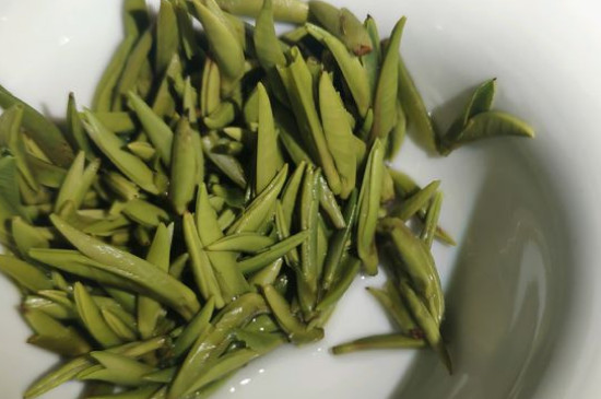 竹葉青茶怎么泡，竹葉青如何沖泡