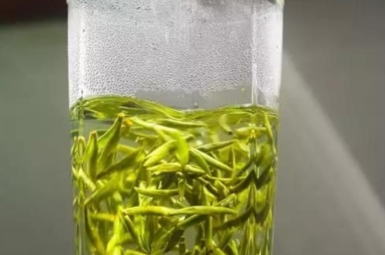 西湖龍井茶毫和發(fā)霉區(qū)別圖片，長(zhǎng)霉的龍井茶葉會(huì)是什么樣？