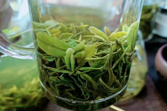 什么綠茶味道濃香，那個綠茶比較濃香？