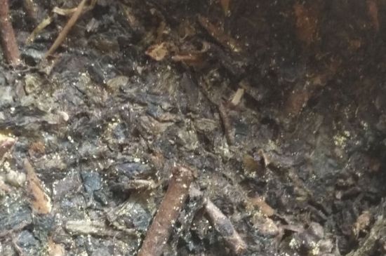 黑茶茯茶保存五大忌，茯茶收藏的注意事項